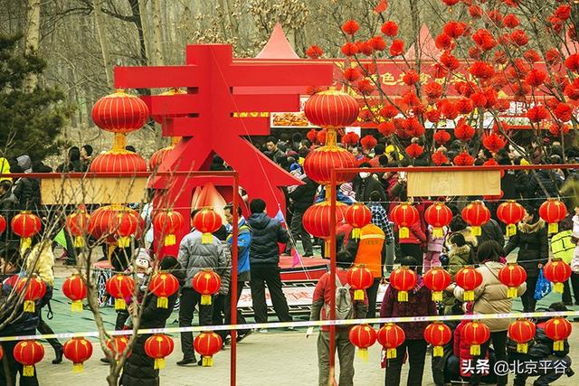 我在海外过春节|摩洛哥民众逛“春节庙会”体验中国非遗文化