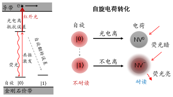 我国科学家观测到最强逻辑形式量子关联