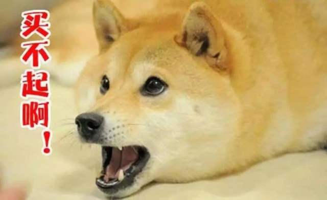 特朗普称 DOGE 发现政府存在数十亿美元的浪费