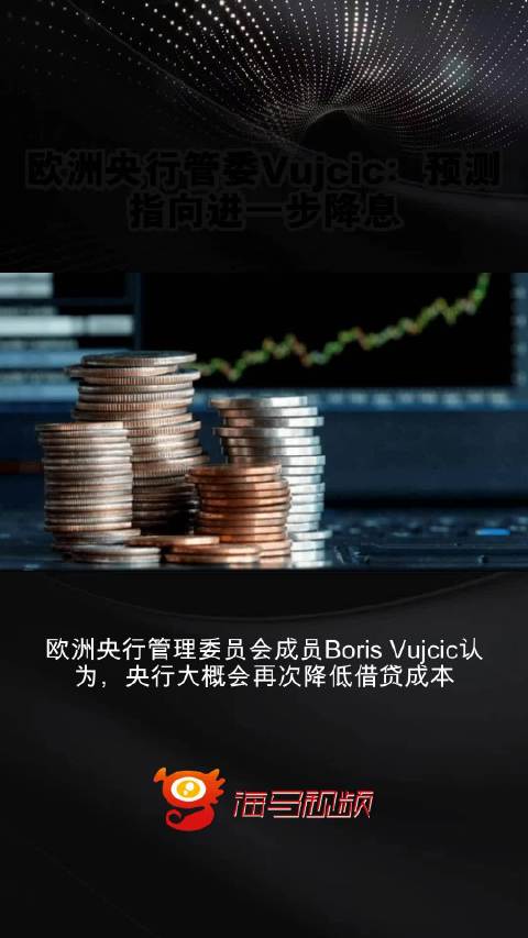 欧洲央行管委Vujcic：欧洲央行今年仍可能再降息三次，即使美联储放缓脚步